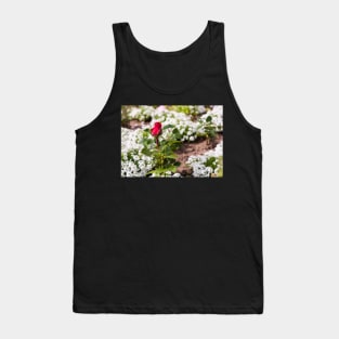 Red rose on blurry background Tank Top